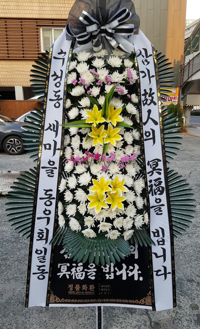 ȸ 뱸ɹ Դϴ 