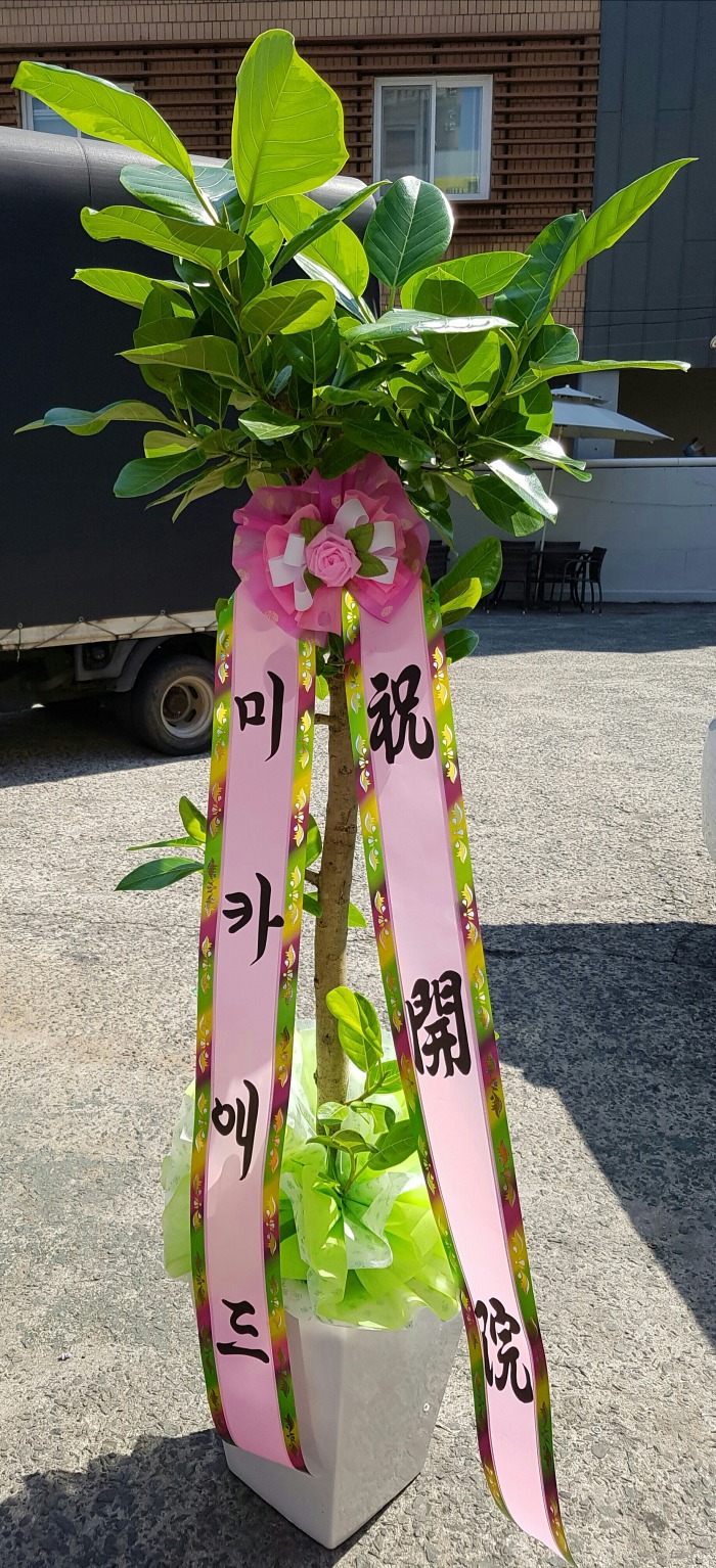 īֵ 뱸ɹ Դϴ 