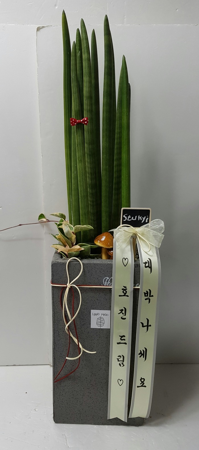ȣ 뱸 Դϴ 
