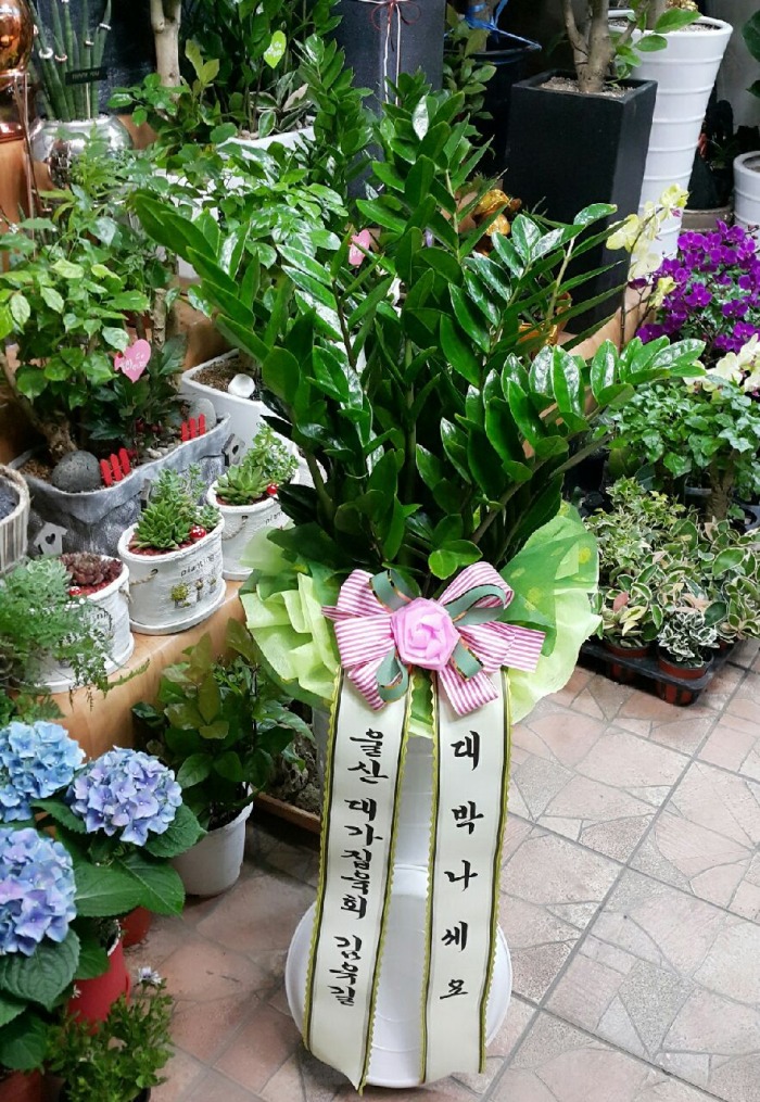  밡ȸ 뱸 Դϴ 