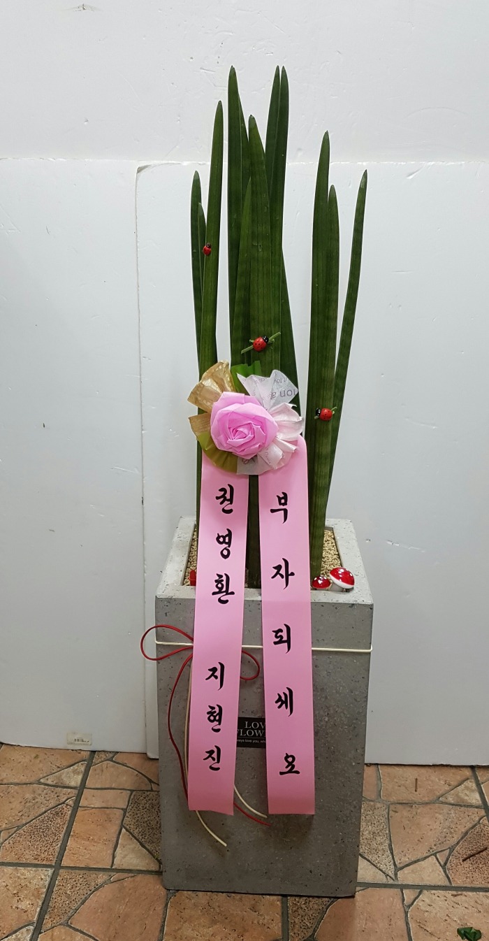 *ȯ ܴ 뱸ɹ Դϴ