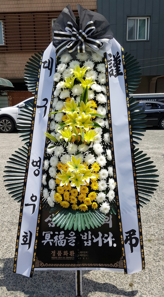 뱸 ȸ 뱸ɹ Դϴ 