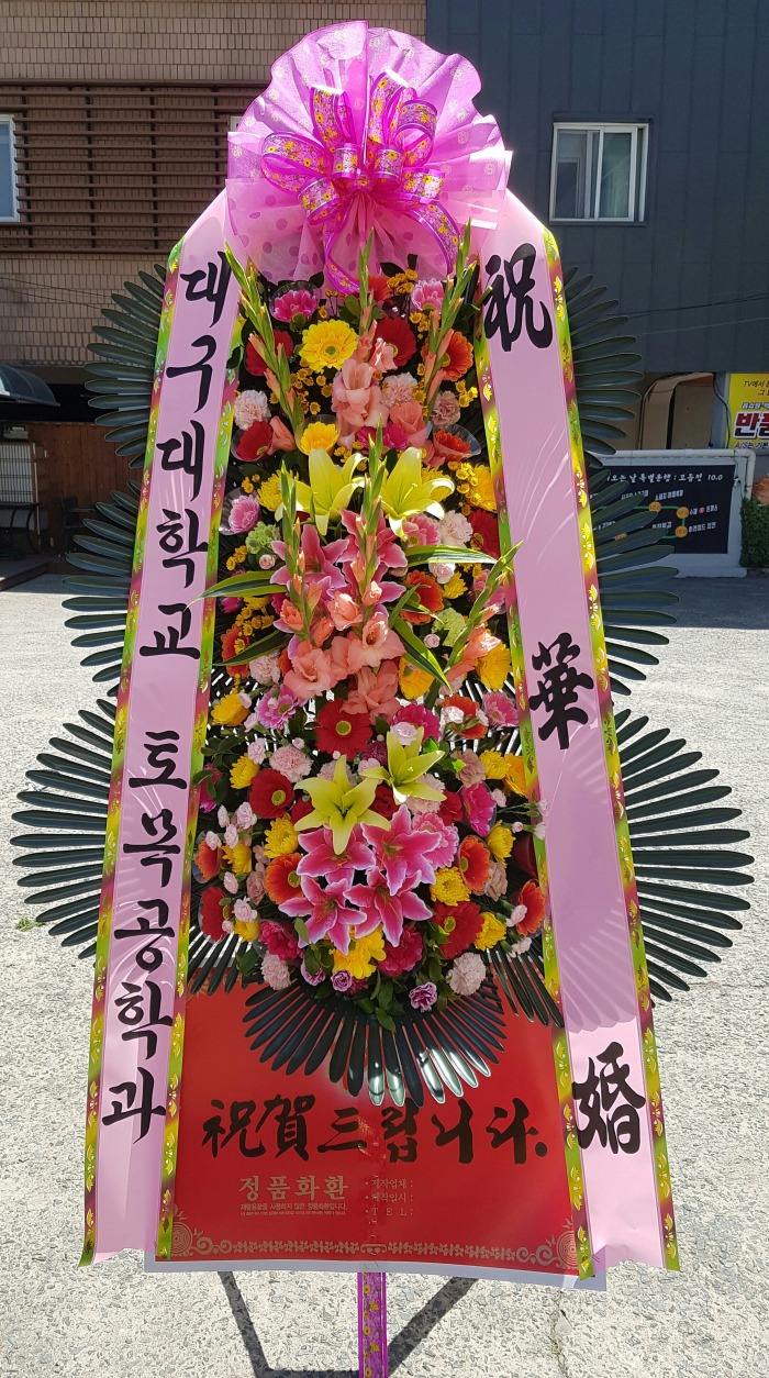 뱸б 뱸Դϴ