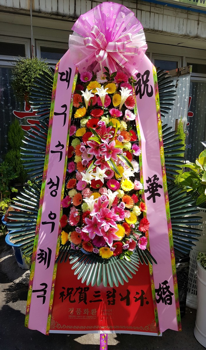 뱸ü 뱸ɹ ũö Դϴ 