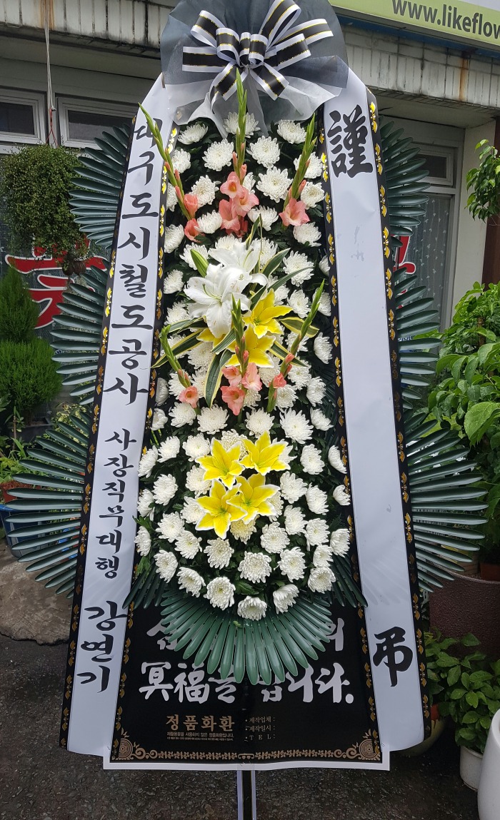 뱸ö 뱸ɹ Դϴ 