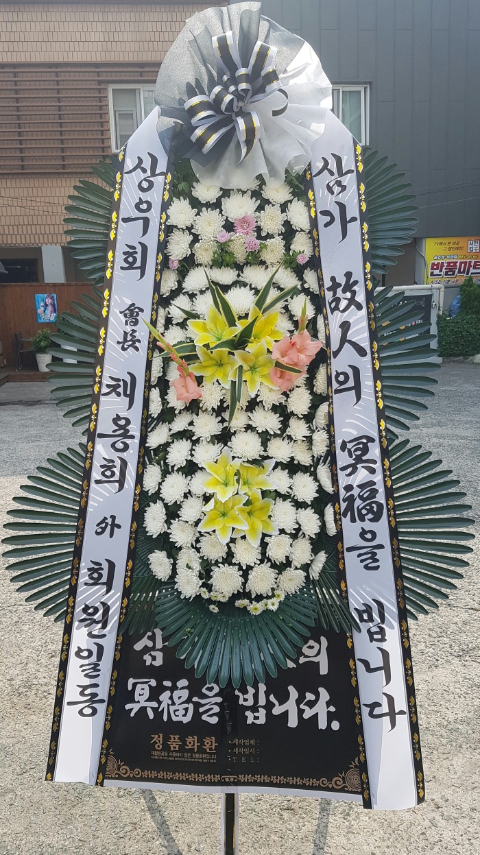 ȸ 뱸Դϴ 