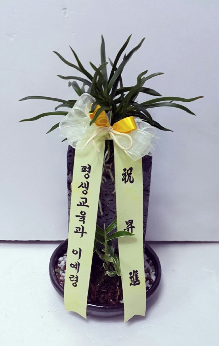  뱸 Դϴ 