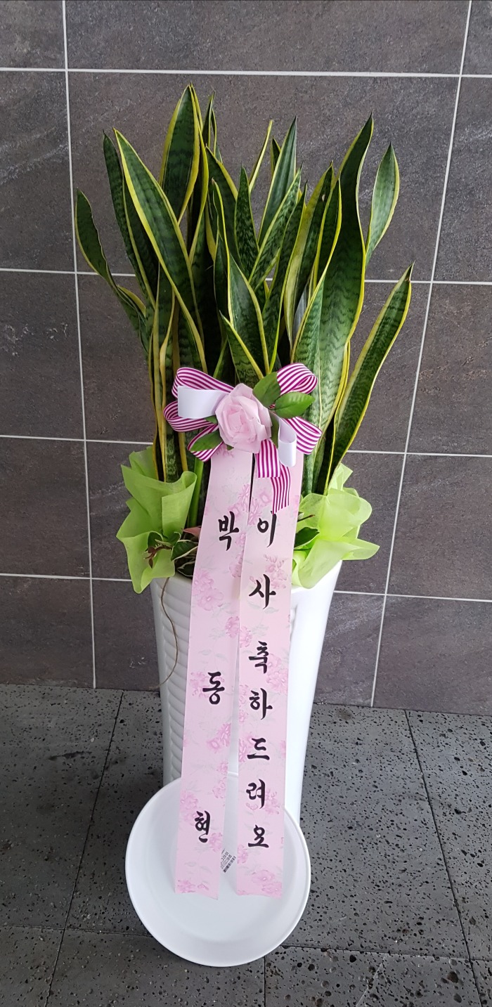 * 뱸Դϴ