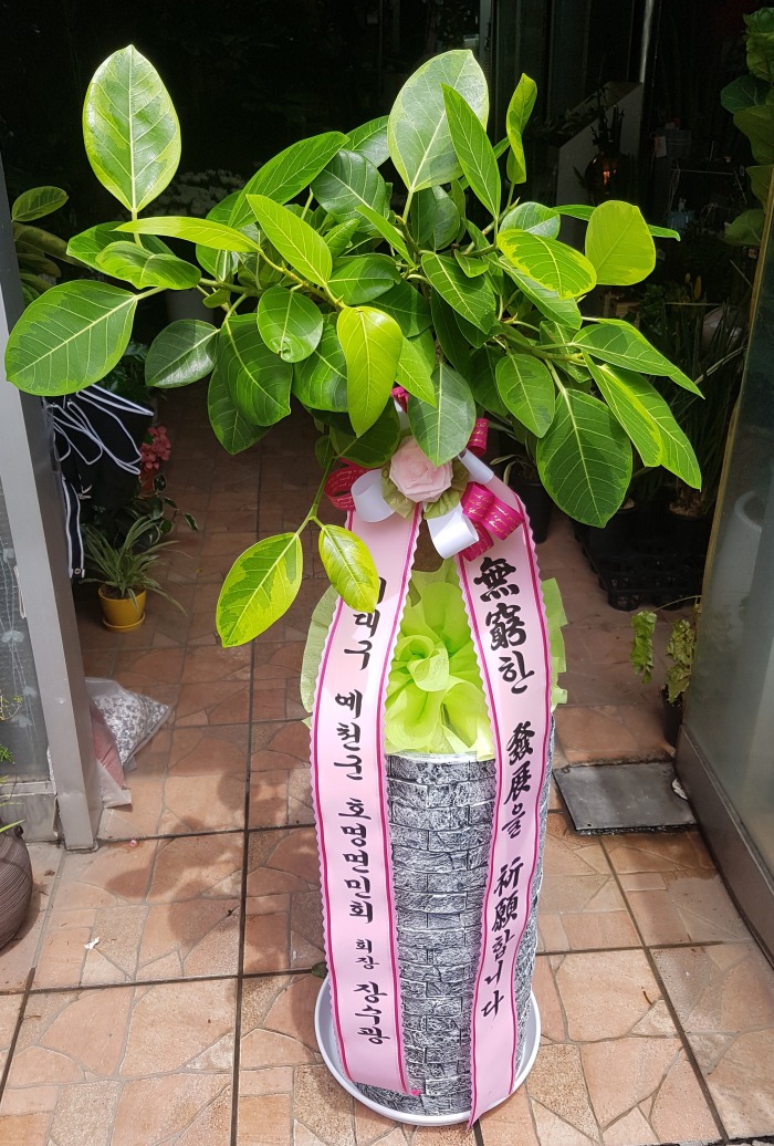 뱸 õ~ 뱸ɹ Դϴ