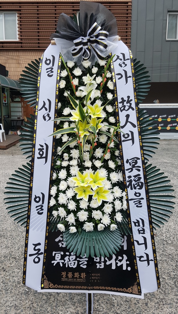 Ͻȸ 뱸ɹ Դϴ