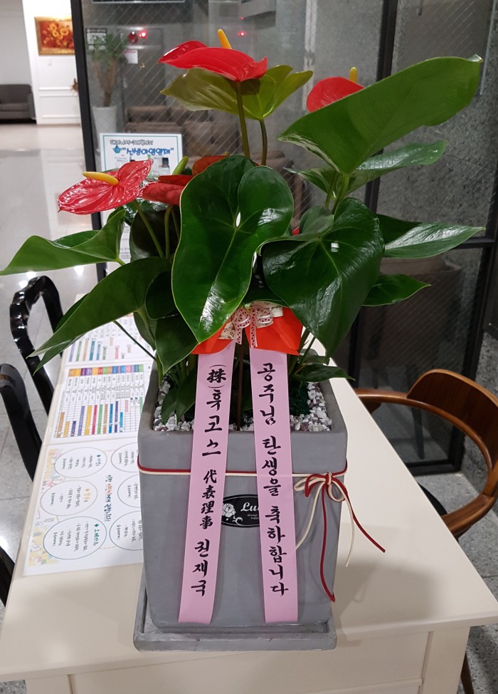 ()ڽ 뱸޼ Դϴ