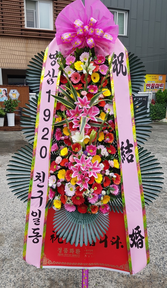 1920 뱸ɹ Դϴ