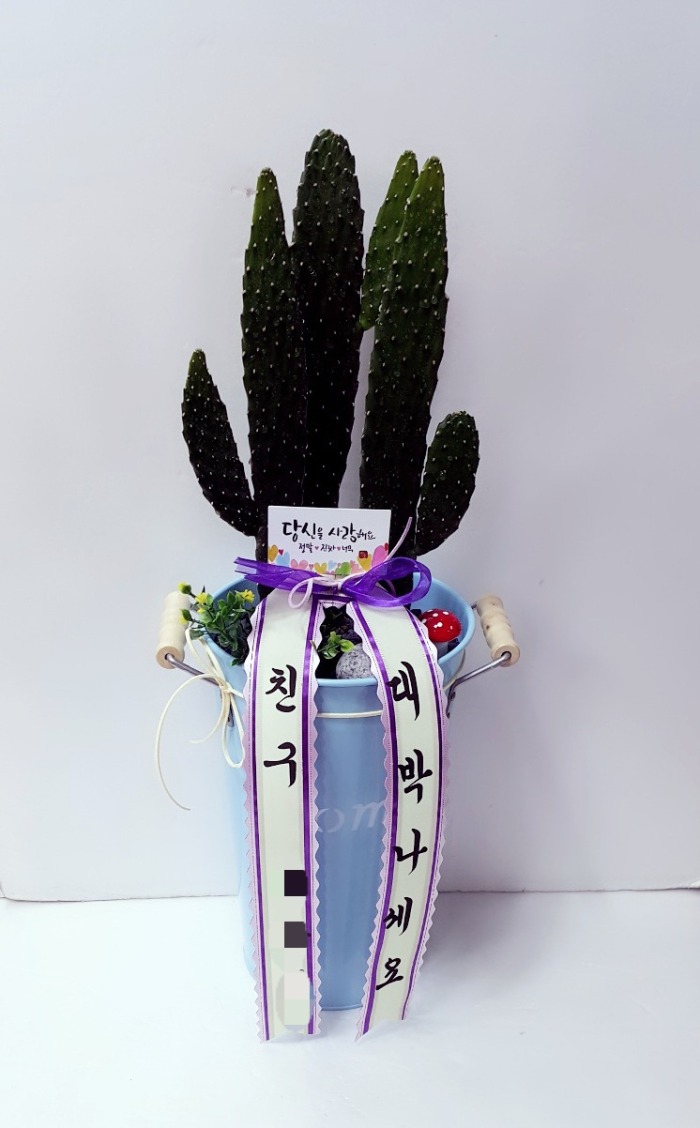 * 뱸ɹ ũöԴϴ