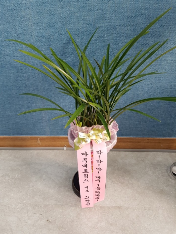 *ΰ 뱸ɹ ũöԴϴ