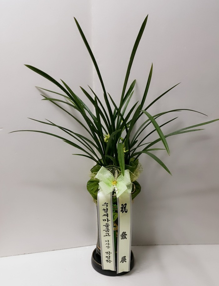 ݰ 뱸 Դϴ