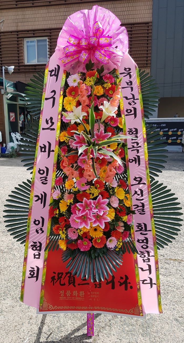 뱸ϰȸ 뱸ɹ Դϴ