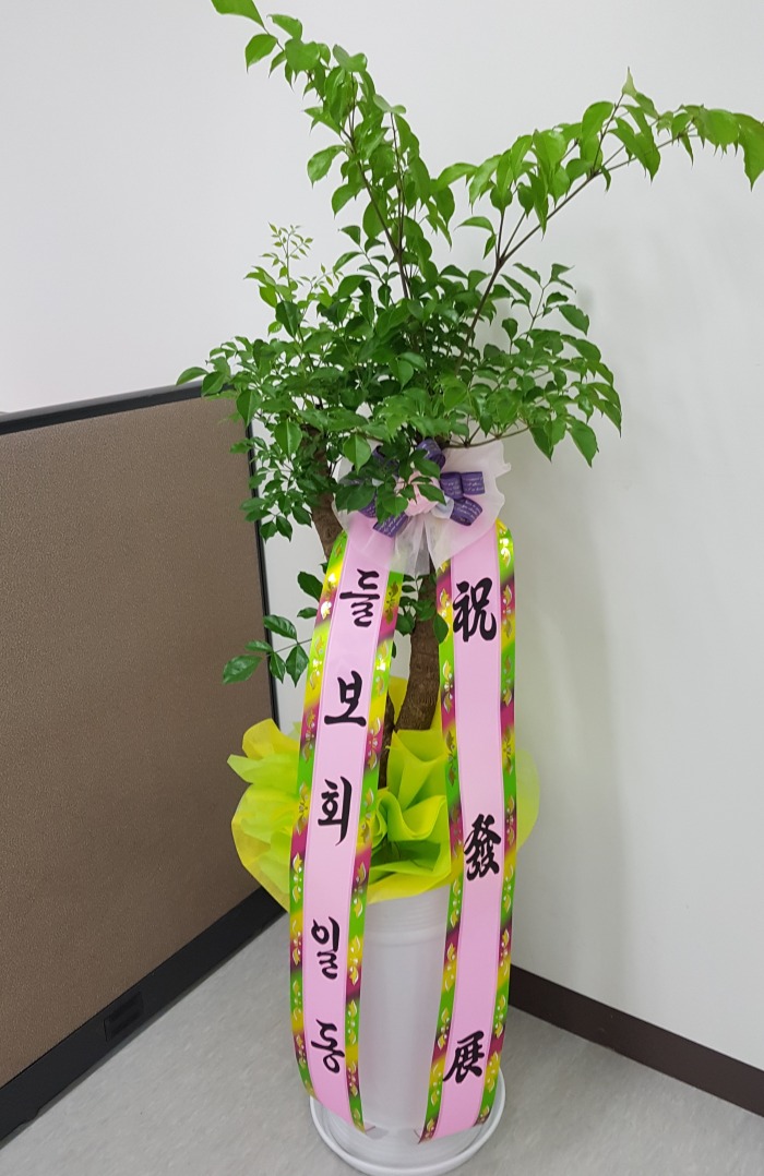 麸ȸϵ 뱸 Դϴ 