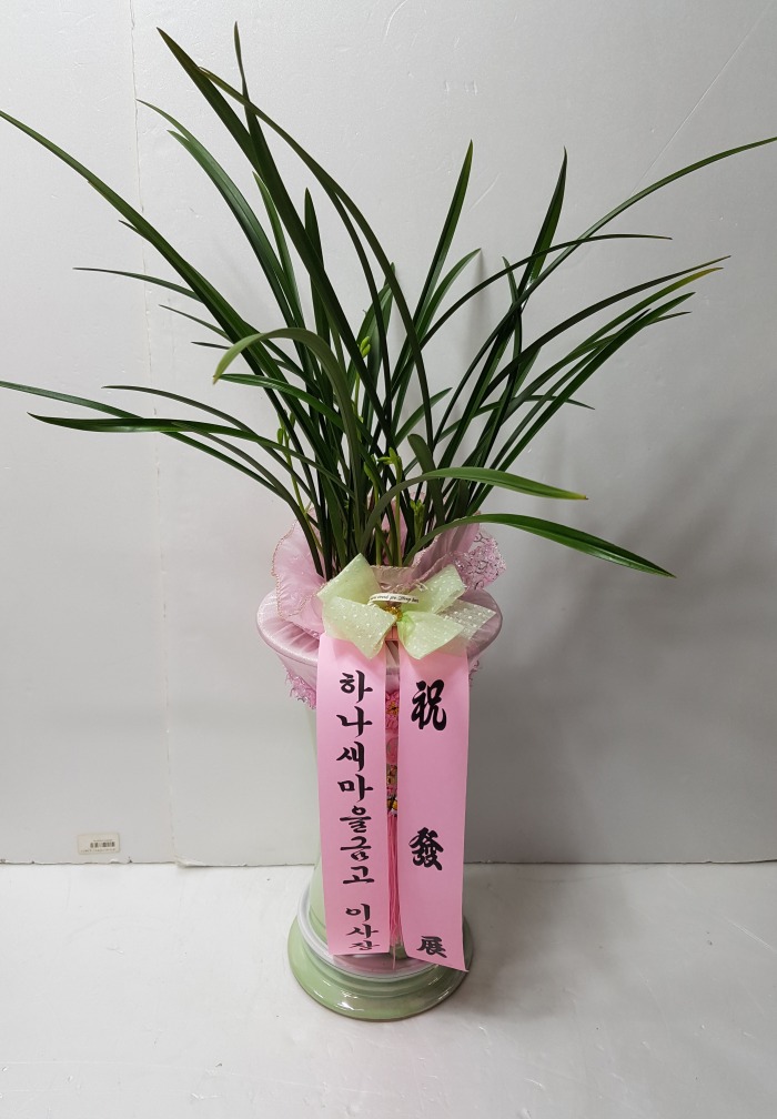 ϳݰ 뱸ɹԴϴ 
