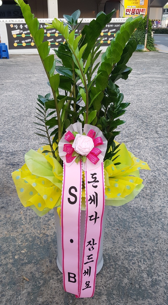 SB 뱸޼ɹԴϴ