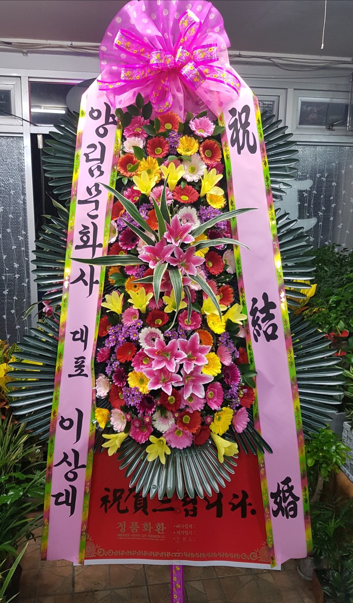 縲ȭ 뱸ɹ Դϴ