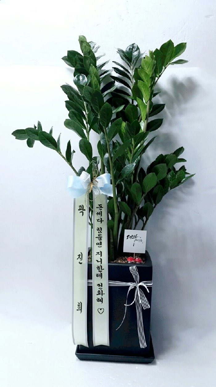  뱸ɹ Դϴ