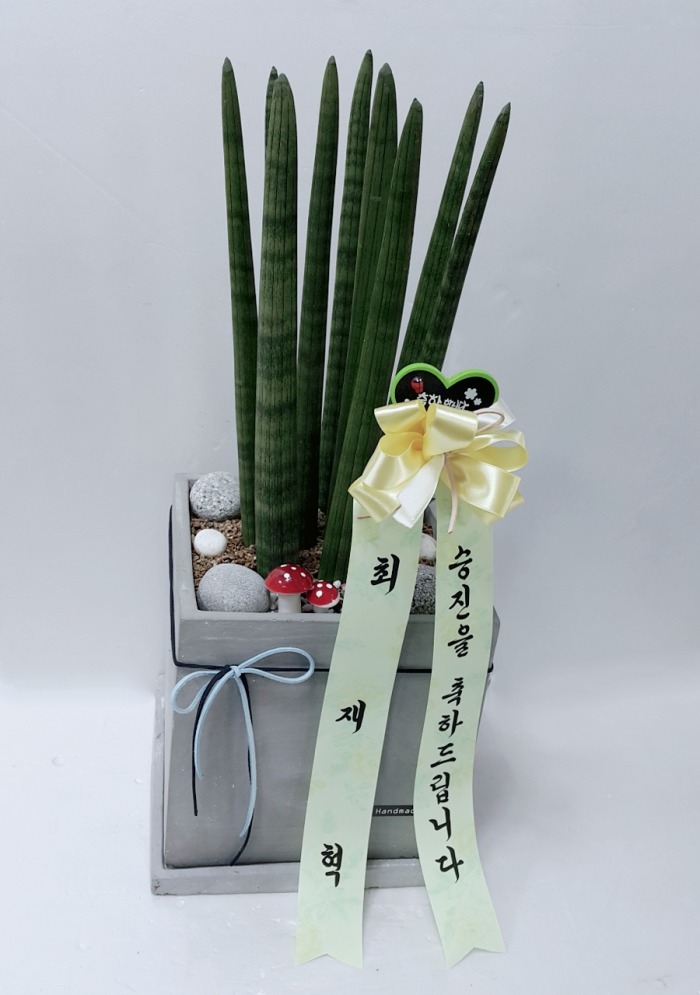 * 뱸ɹ Դϴ