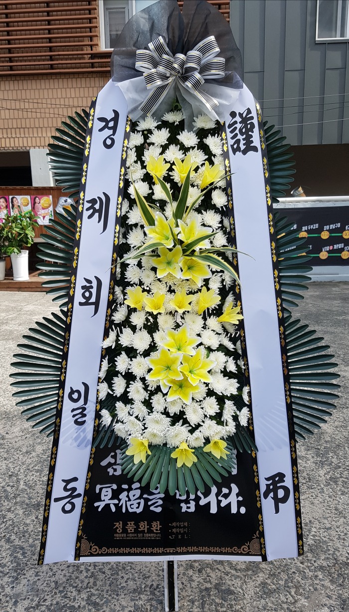 ȸ 뱸߱ɹ Դϴ 