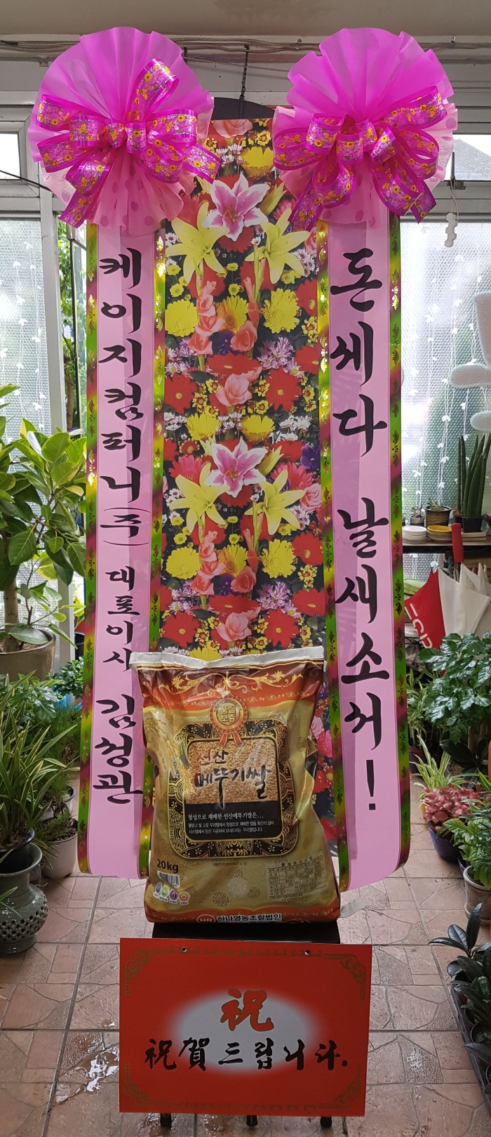 ۴ϴ 뱸ȭȯ Դϴ