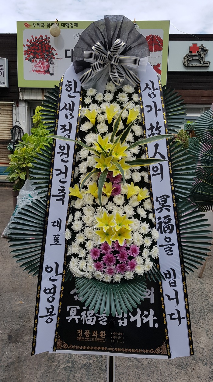 ѻ 뱸ɹ Դϴ