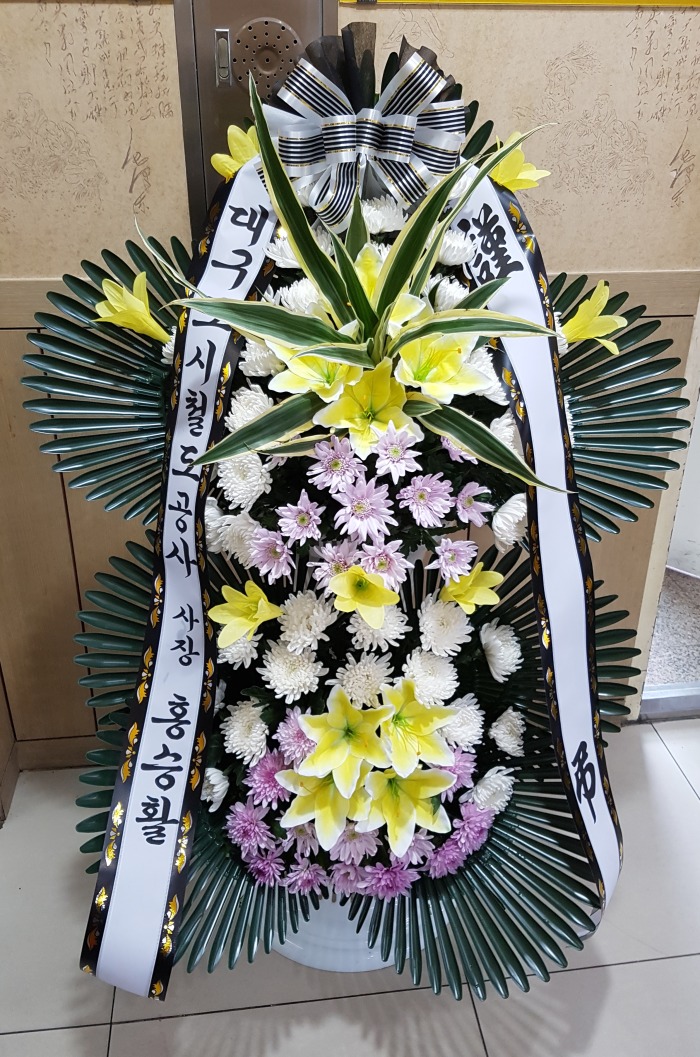 뱸ö 뱸ɹ Դϴ 