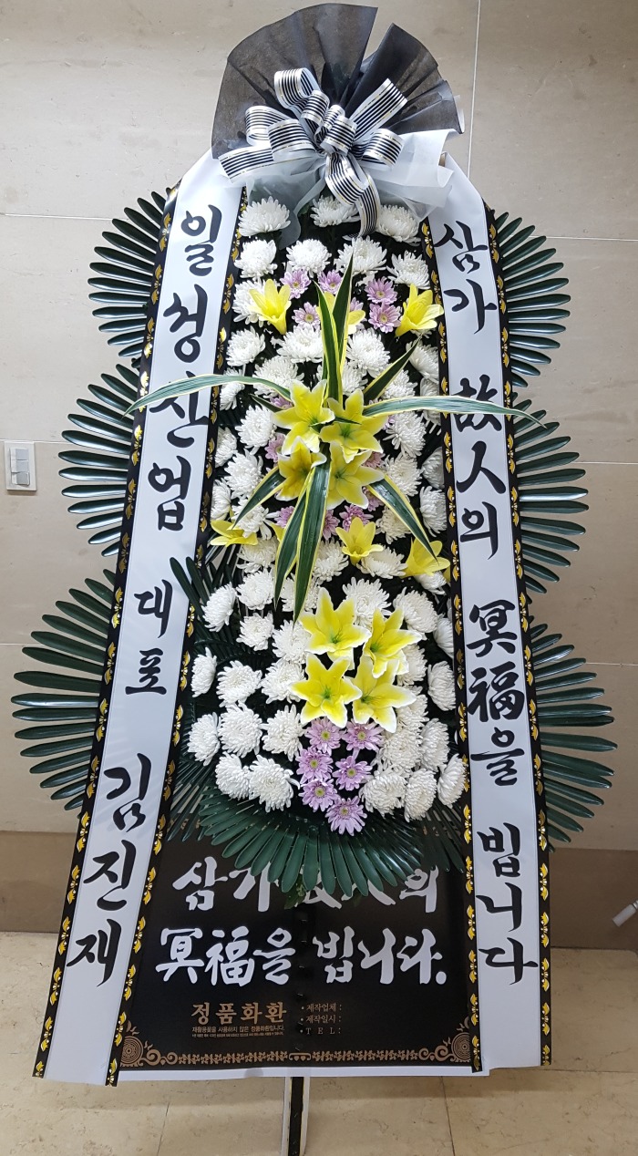 ϼ 뱸ɹ Դϴ 
