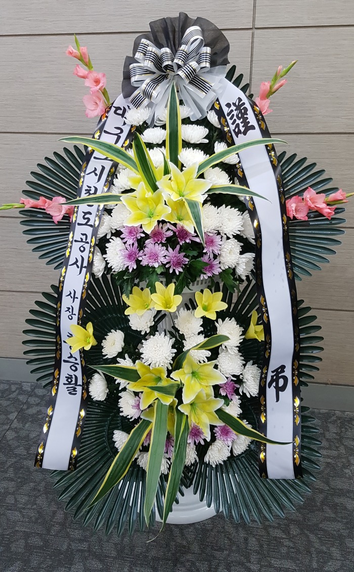 뱸ö 뱸ɹ Դϴ 