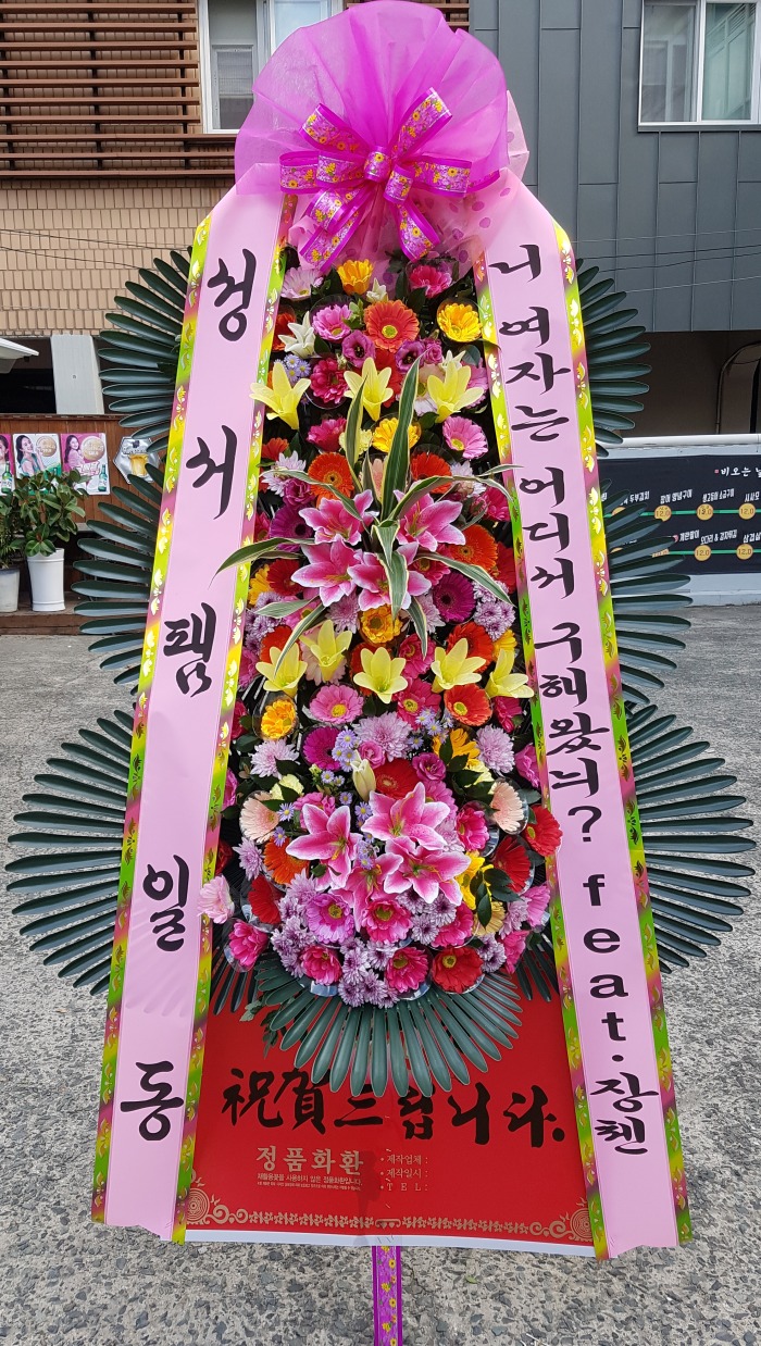 ϵ 뱸ȭȯ Դϴ