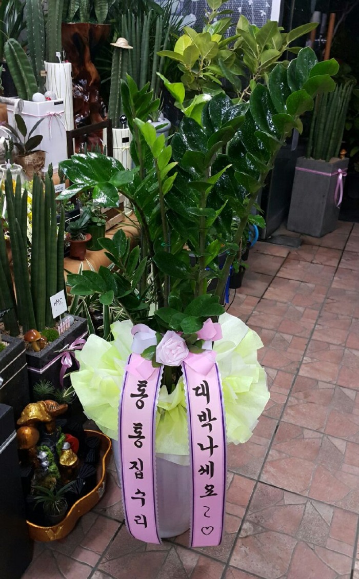  뱸޼ɹ Դϴ 