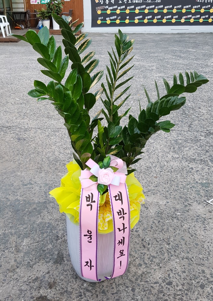  *ڴ 뱸 Դϴ