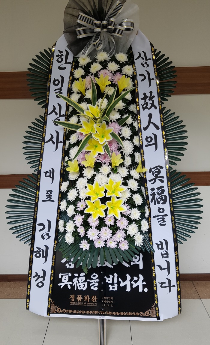 ϻ 뱸ȭȯ Դϴ