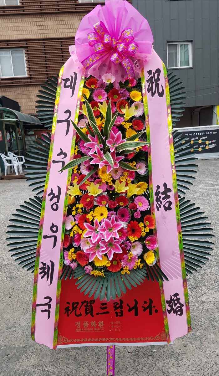 뱸ü 뱸ȭȯ Դϴ