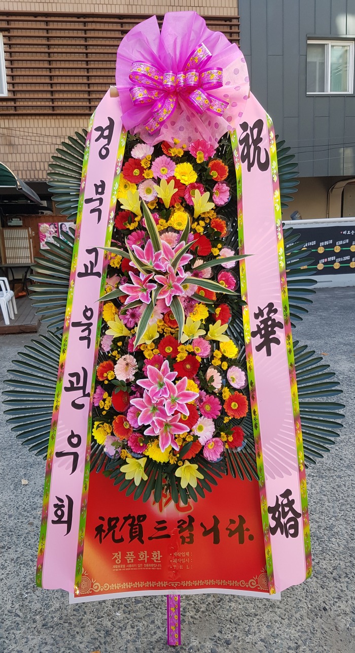 ϱȸ 뱸ɹ Դϴ 