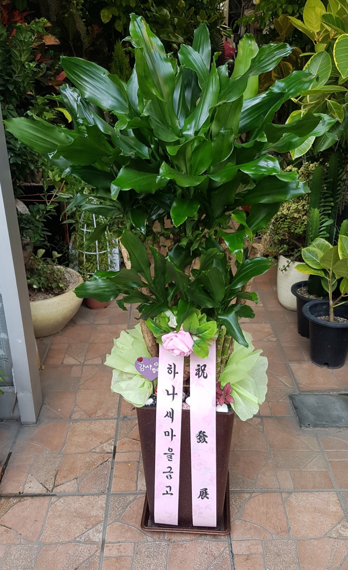 ϳݰ 뱸ɹԴϴ 