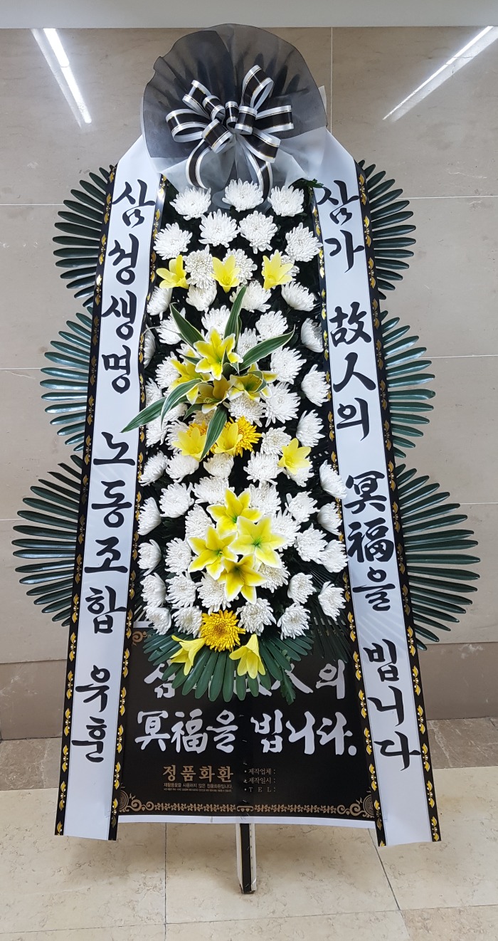 Ｚ 뱸 Դϴ 
