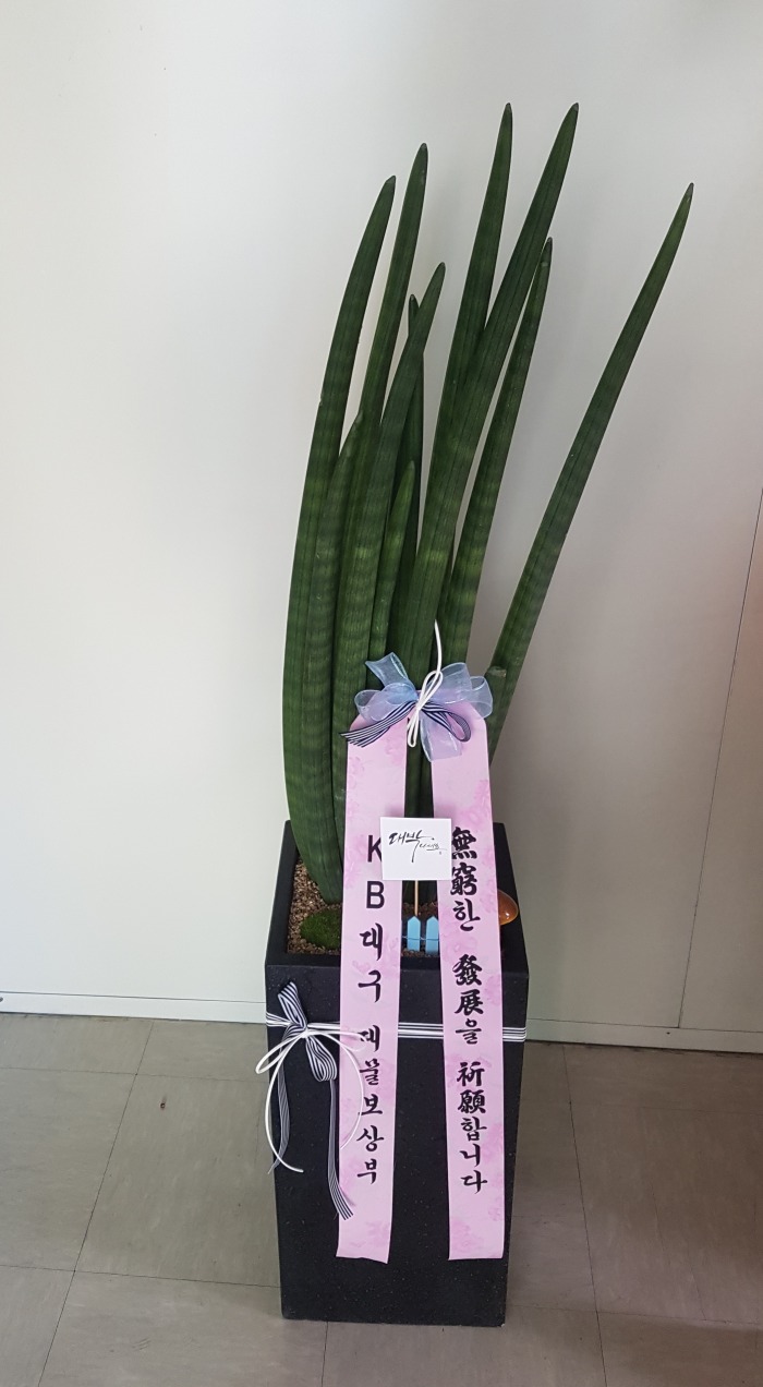 KB뱸 뱸޼ɹ Դϴ 
