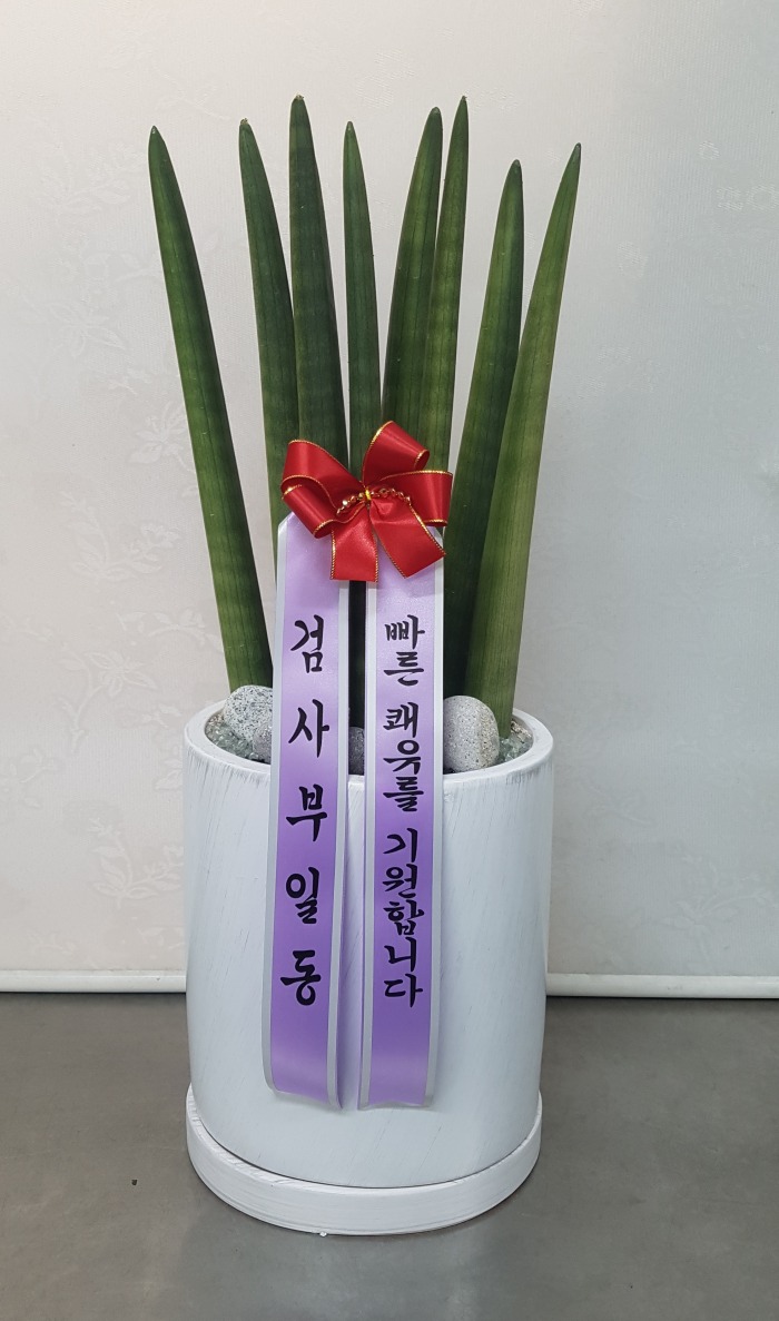 ˻ϵ 뱸ɹ Դϴ 