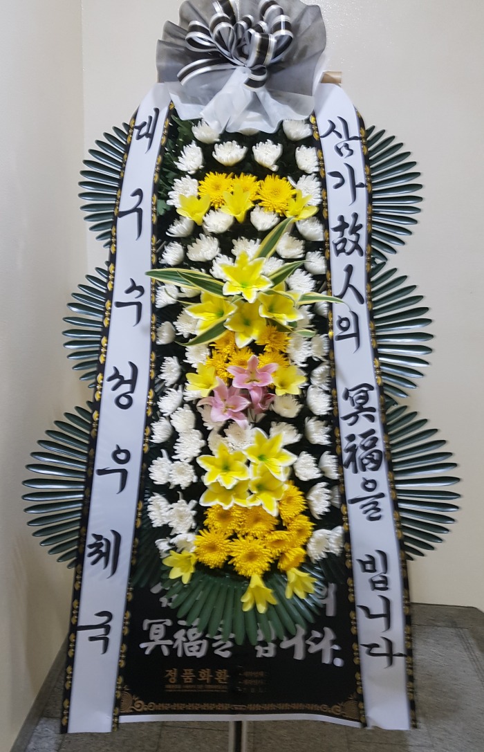뱸ü 뱸ɹ Դϴ 