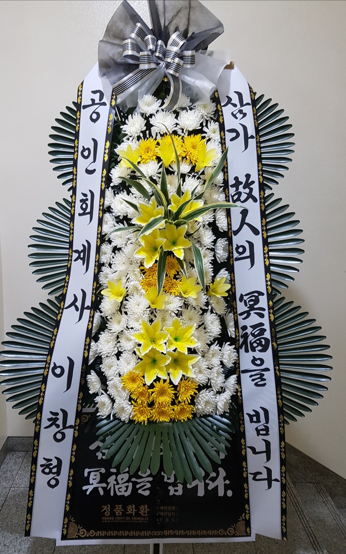 ȸ  뱸ȭȯ Դϴ 