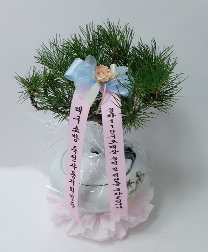 뱸ҹ 뱸ɹ Դϴ 