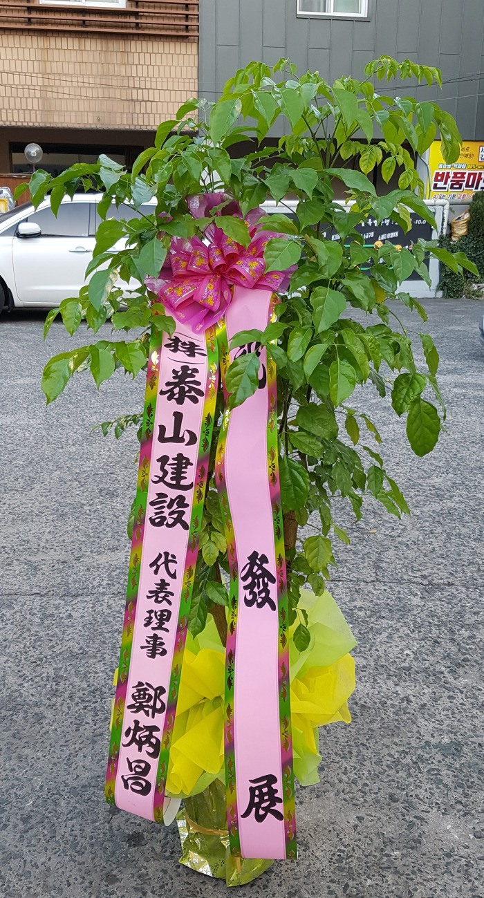 »Ǽ() 뱸 Դϴ 