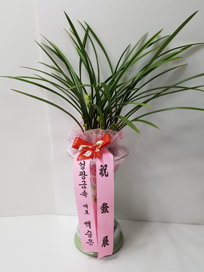 ݼӴ 뱸ɹ Դϴ 