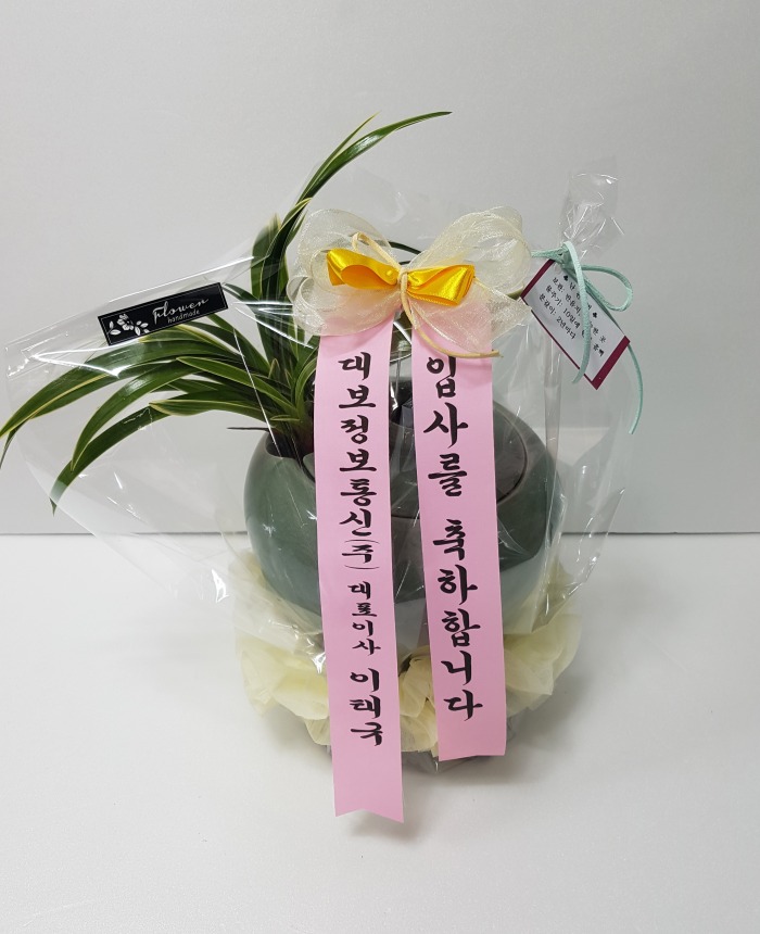 뺸() 뱸 Դϴ