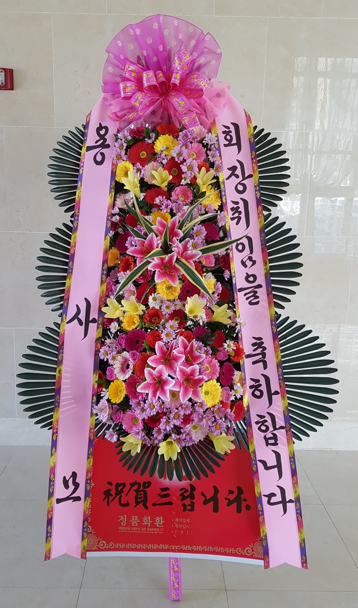  뱸ȭȯ Դϴ