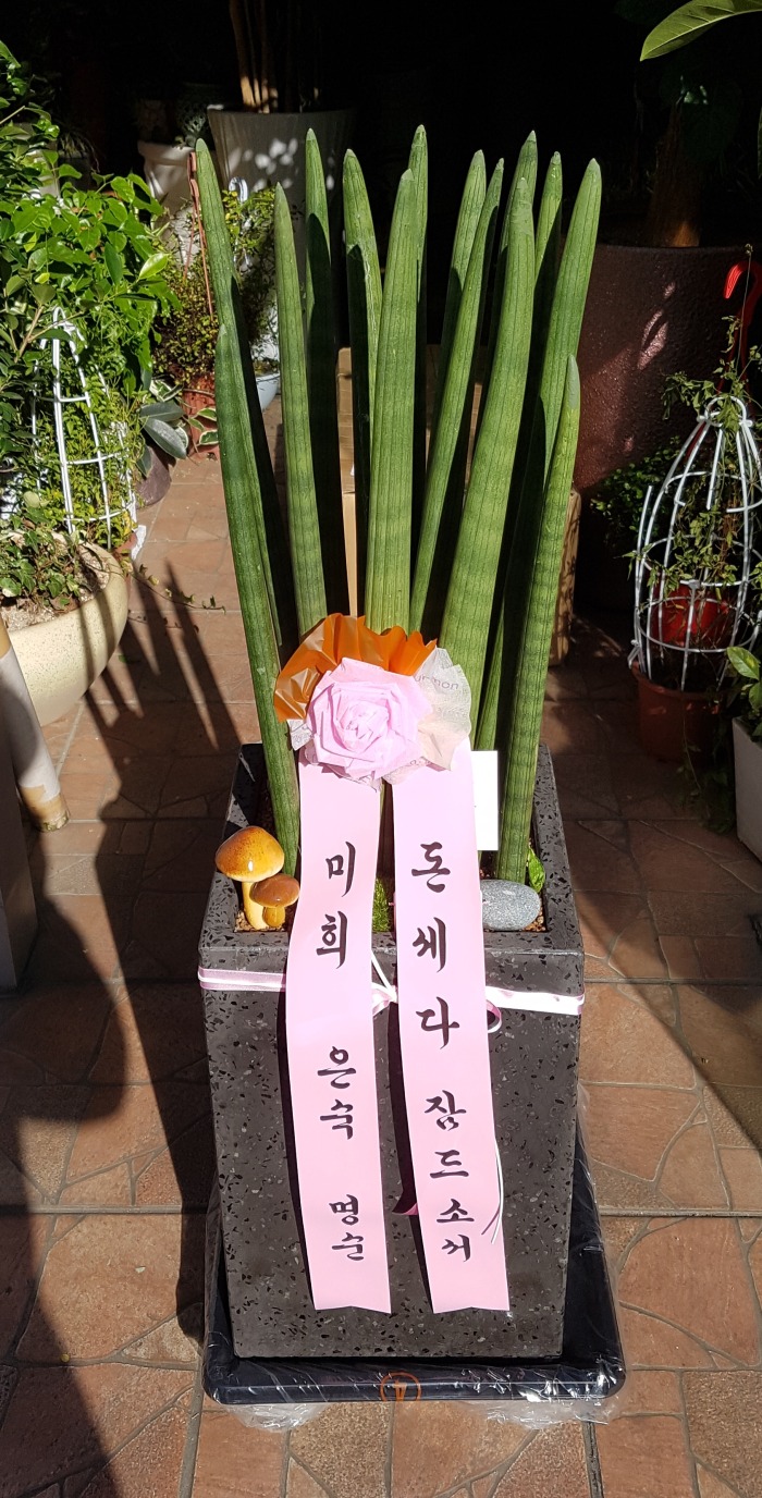   뱸ɹ Դϴ 